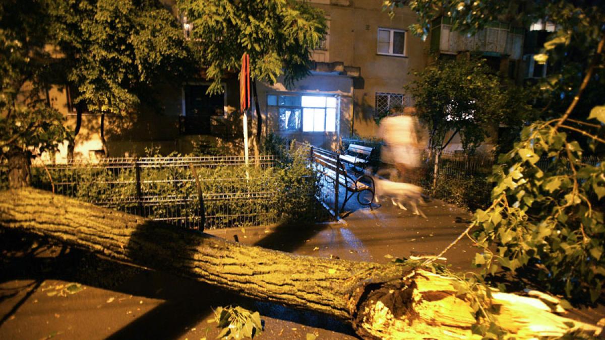 Giurgiu - Acoperișuri smulse, copaci căzuți și panouri publicitare dărâmate din cauza vântului