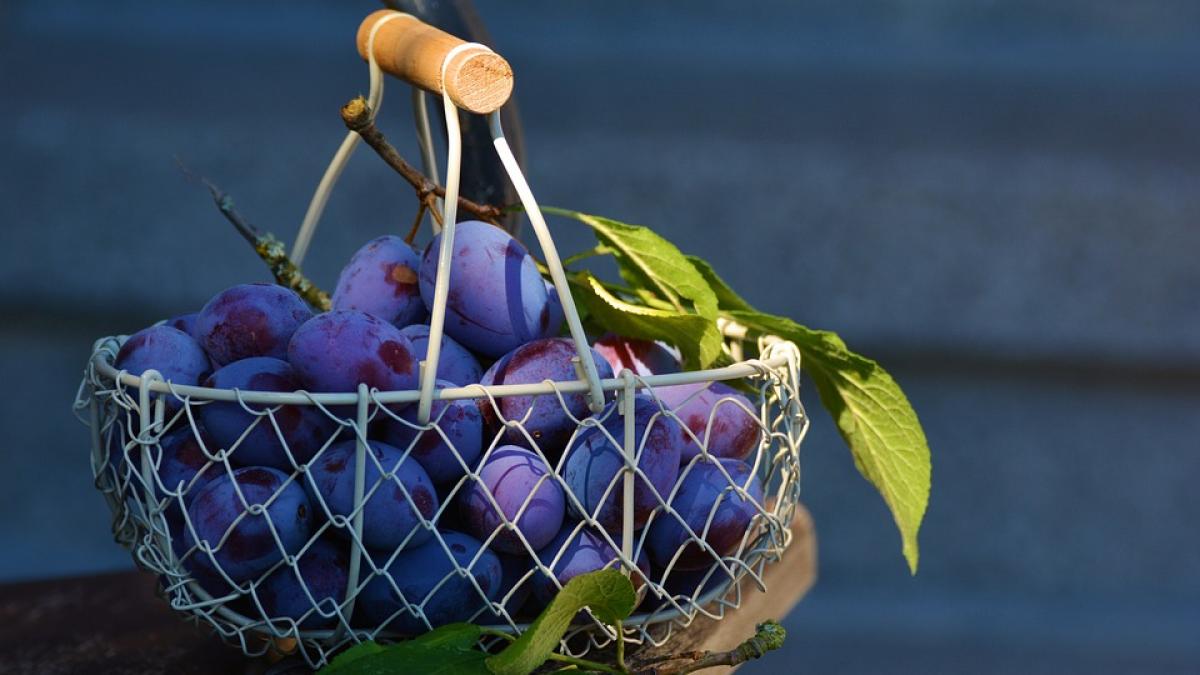 Prune în vin roşu