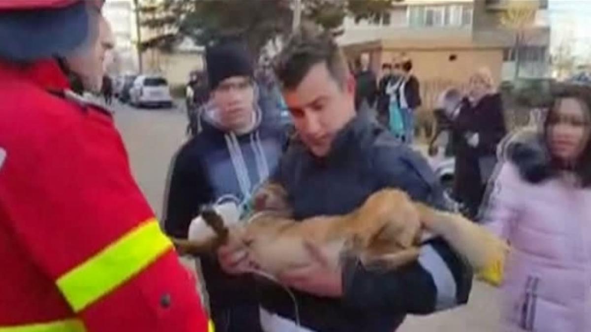 Argeş: Bărbat rănit grav într-un incendiu; un căţel scos din flăcări a fost resuscitat de un pompier