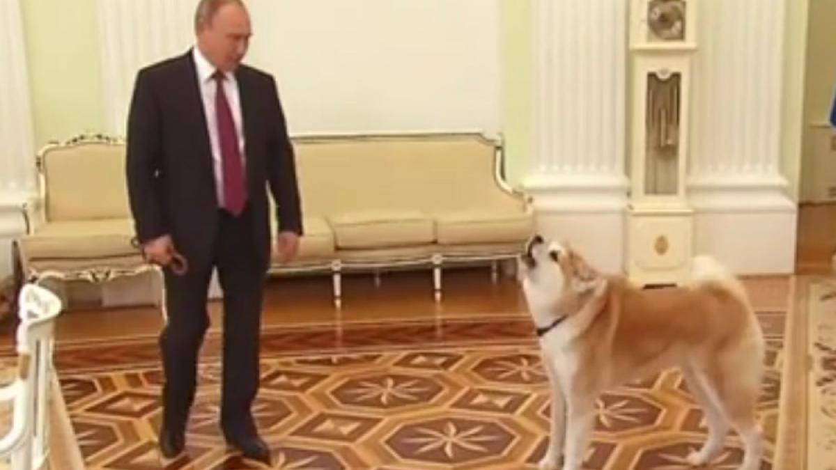 video cateaua lui putin a tinut sa se faca auzita in timpul unui interviu acordat de liderul rus