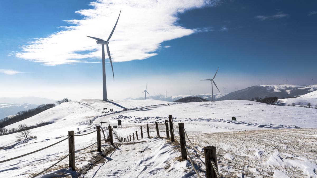 Viscolul din Dobrogea turează la maxim energia eoliană