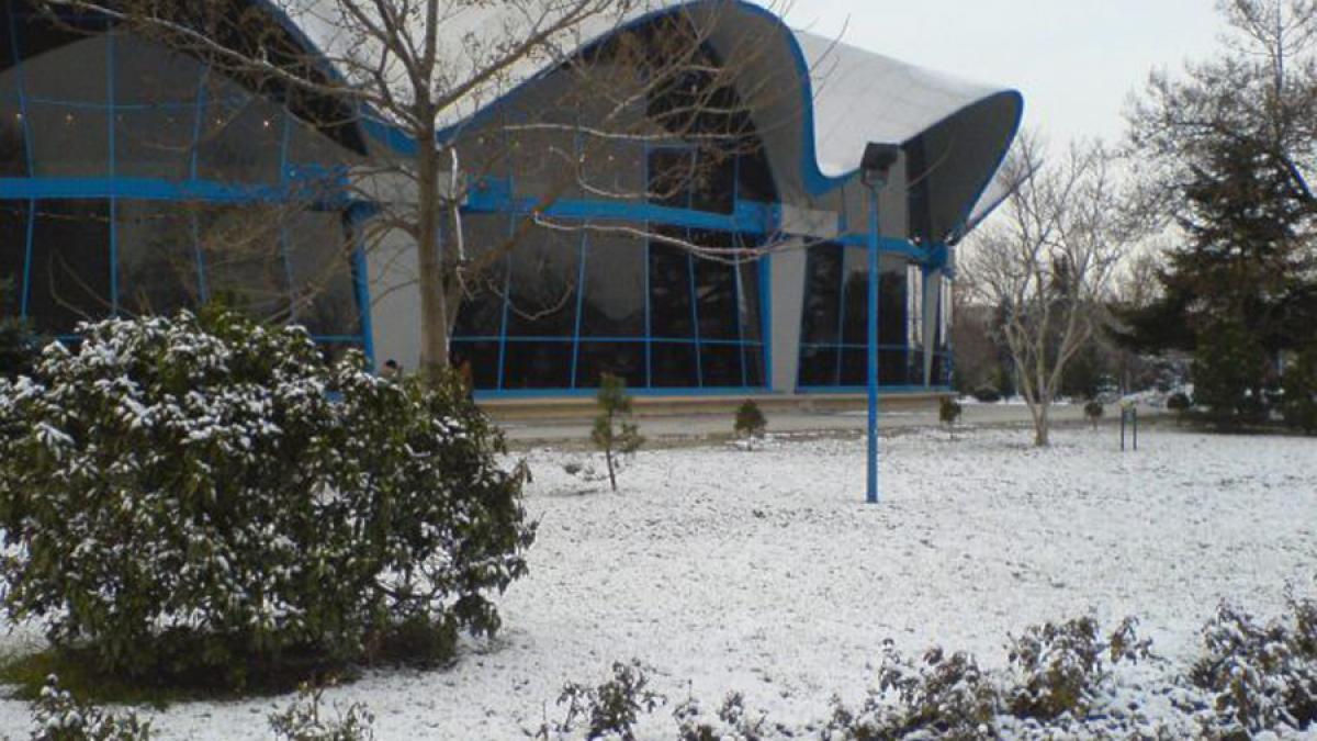Angajaţii Circului Globus protestează faţă de demiterea directorului Victor Coman