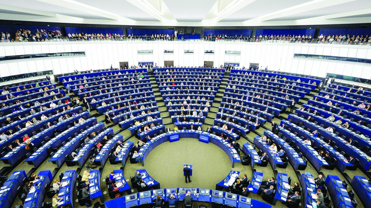 Ana Birchall va lua UE în primire din 2019
