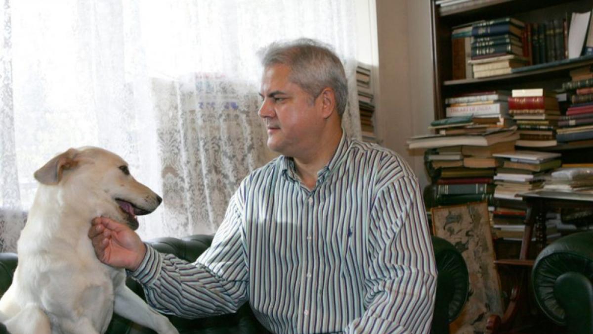 Adrian Năstase despre proteste: Lipsă de maturitate?