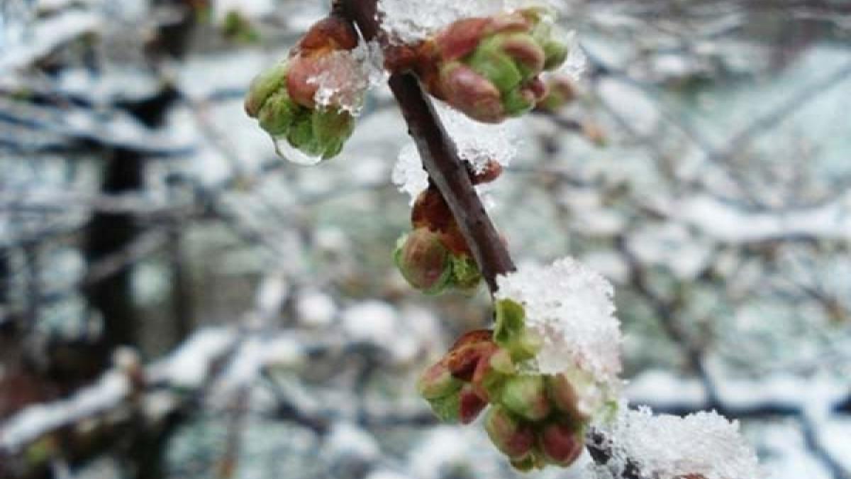 Prognoza meteo pentru Februarie şi Martie! Primăvara se lasă aşteptată!