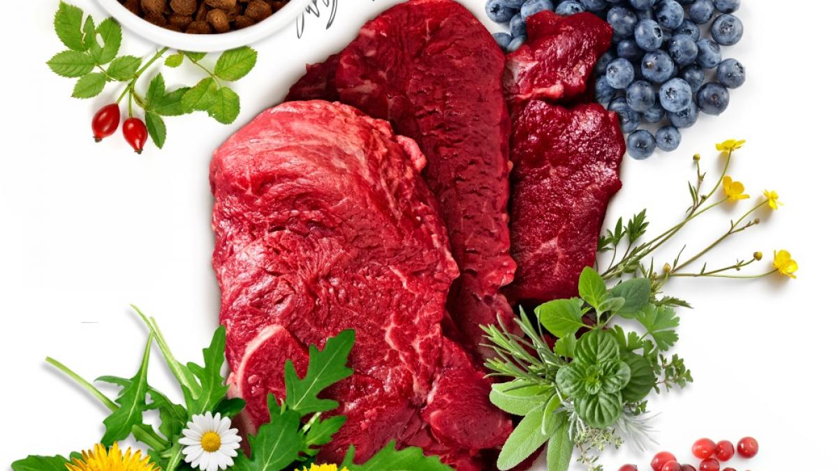 DIETE SĂNĂTOASE. Scapă de 3 kilograme pe zi cu DIETA LUPULUI