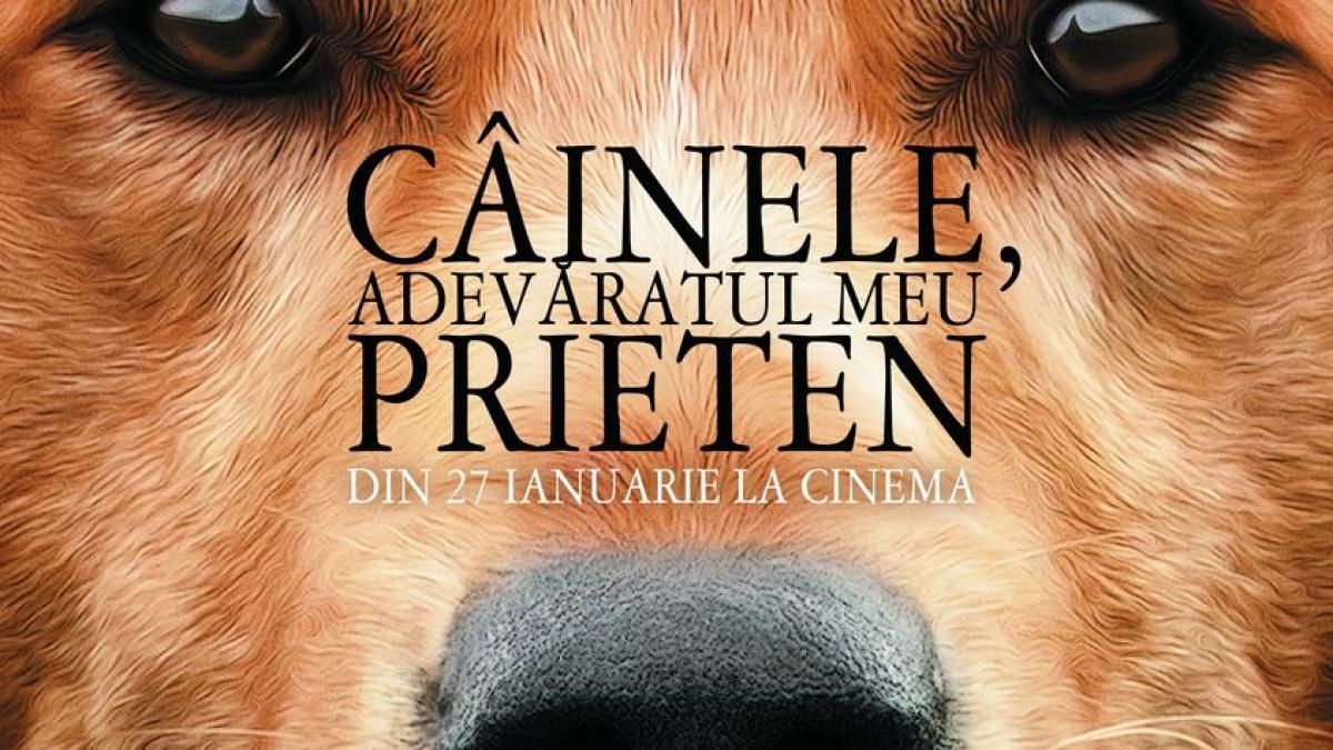 CONCURS. Câştigă bilete la filmul "Câinele, adevăratul meu prieten" 