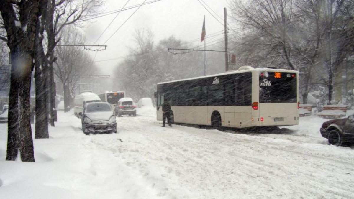 Internet wireless gratuit în toate mijloacele de transport în comun din Bucureşti, dar şi o aplicaţie utilă!