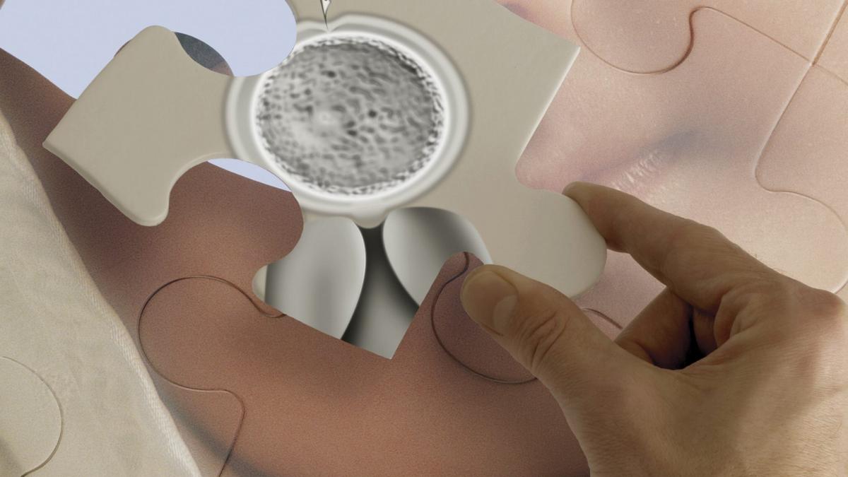 Medicii avertizează: cariera afectează fertilitatea