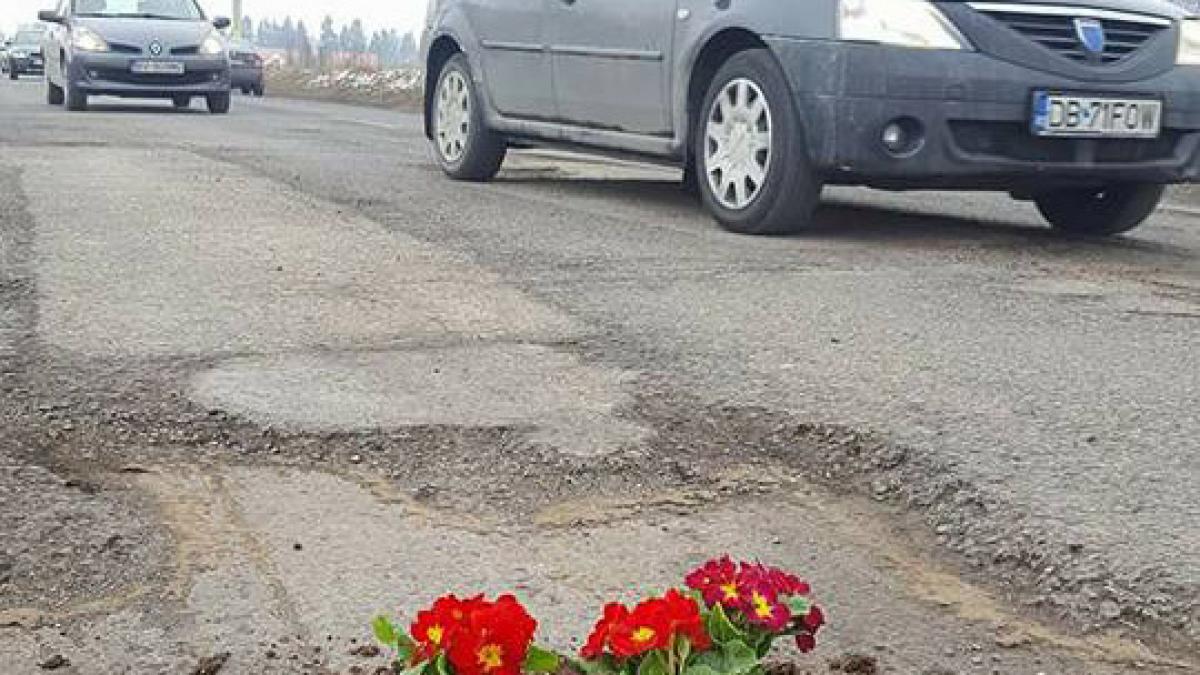 GALERIE FOTO: Braşov - Mai mulţi şoferi au plantat flori în găurile din DN73
