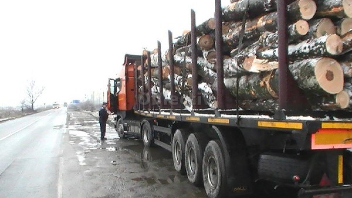 Suceava - Două transporturi ilegale de lemn, interceptate de poliţişti şi Garda Forestieră