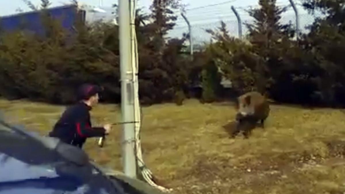 video mai multi mistreti au ajuns in curtea fabricii bergenbier si ploiesti