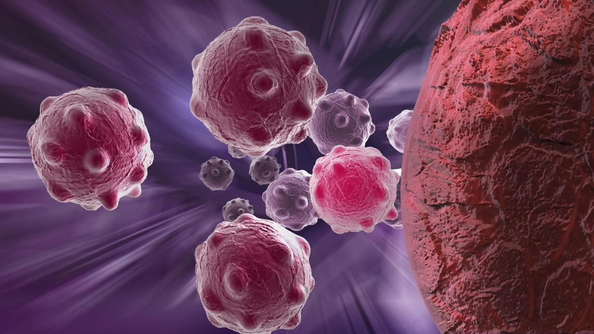Rădăcina unei plante, mai eficientă decât CHIMIOTERAPIA. Distruge celulele canceroase, fara efecte secundare