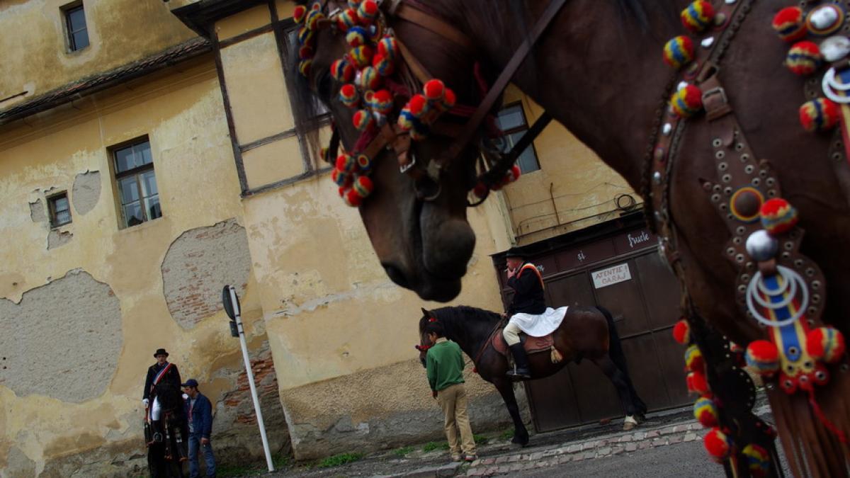 Paștele cailor există și se sărbătorește la Târgoviște