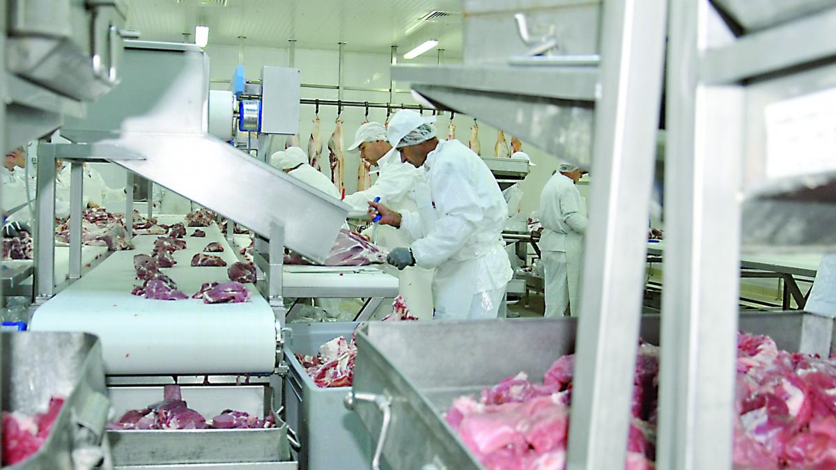 La Agricola Internaţional ameninţările ţin loc de Codul Muncii
