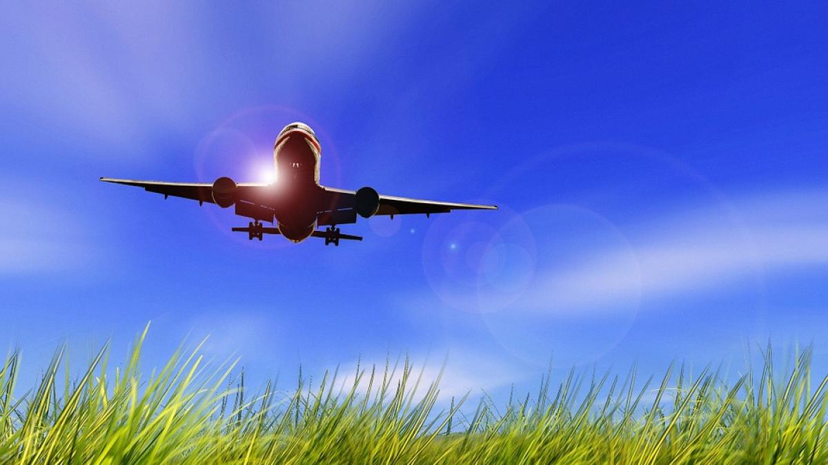 Camera Deputaților ia bilete de avion de 4 milioane de lei