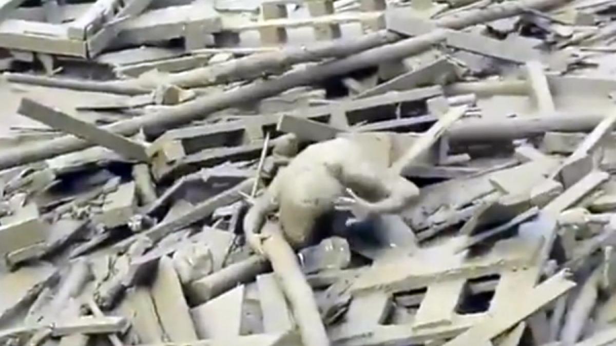 video peru o femeie reuseste miraculos sa scape dintr un rau de noroi