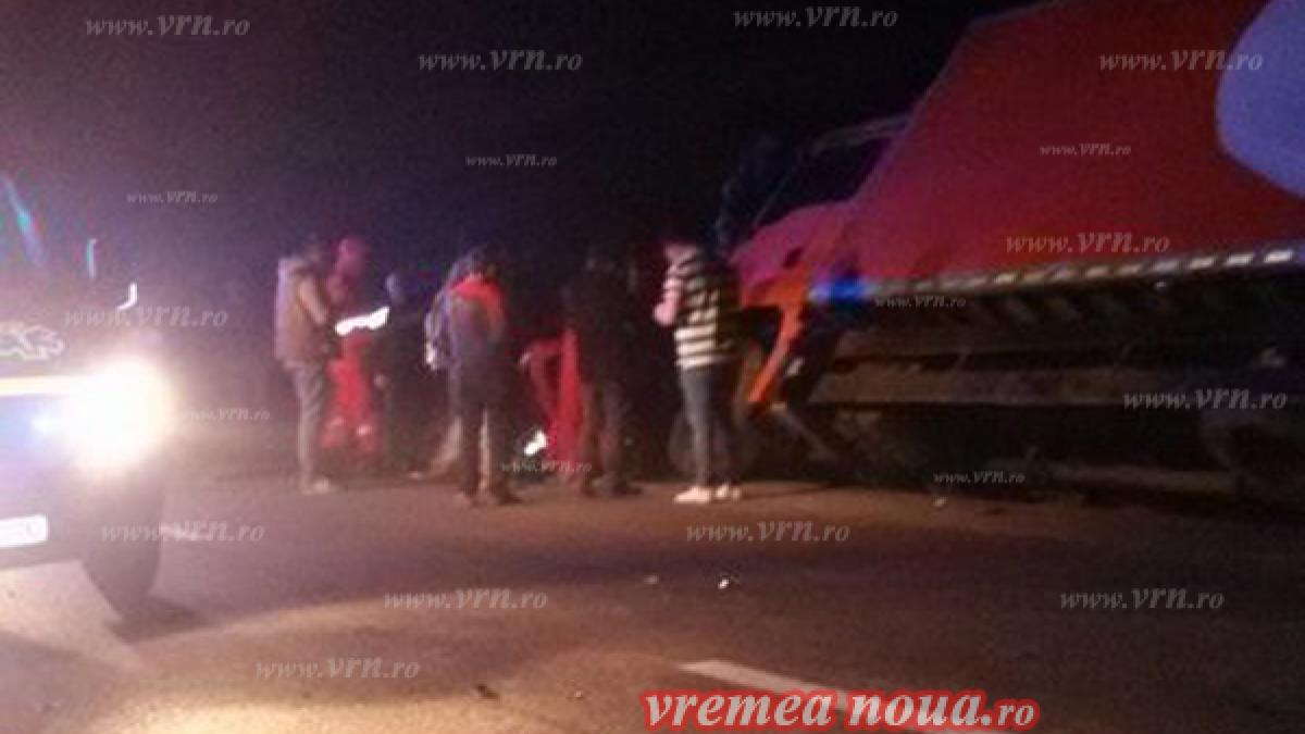 Doi cai morți și două persoane rănite, din cauza unui căruțaș beat