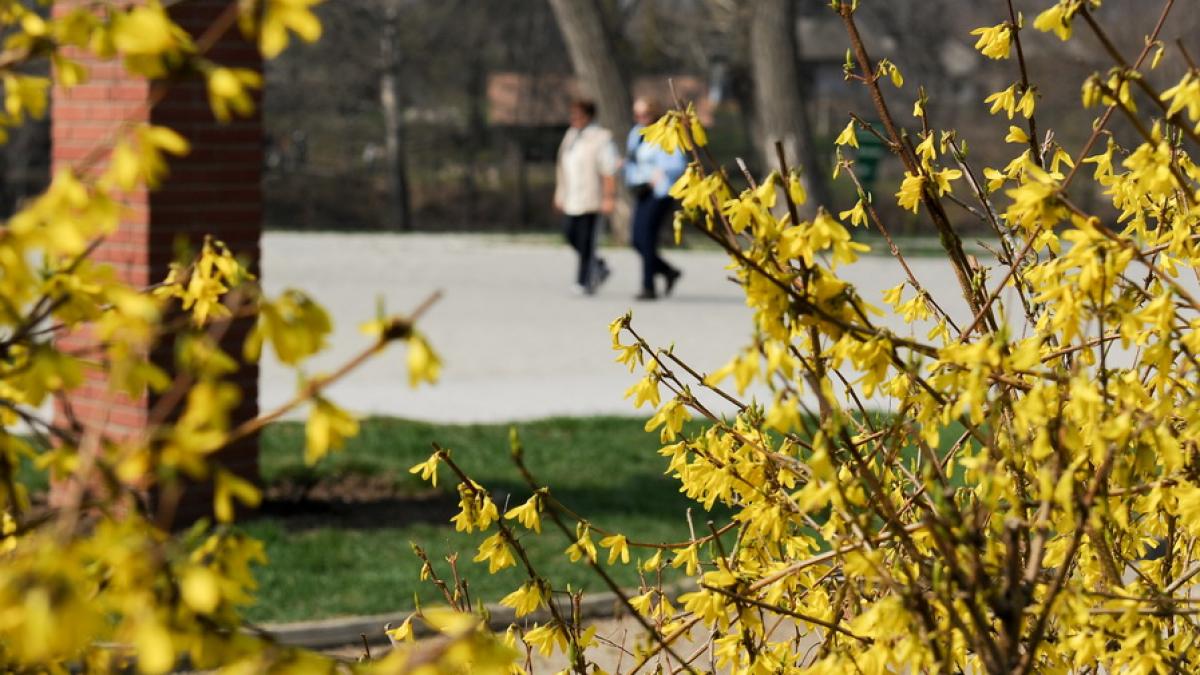Prognoza METEO pentru următoarele 3 luni. Cum va fi vremea de Florii 2017, Paste 2017 si 1 Mai