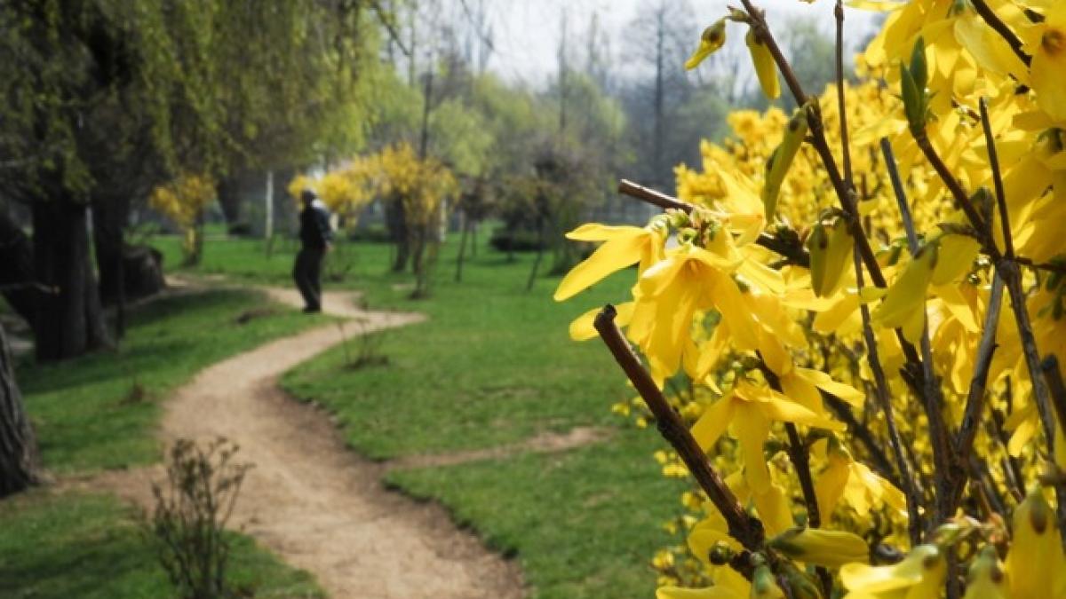 Prognoza meteo pentru următoarele două săptămâni. Vreme schimbătoare la începutul primăverii