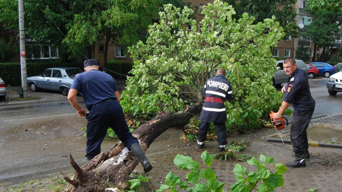 Cod GALBEN de vânt puternic și ninsoare, duminică