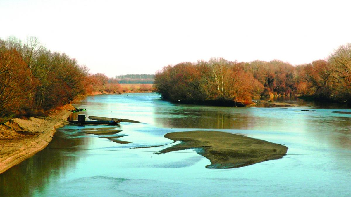 Arii protejate ale României. Parcul Natural Lunca Mureșului