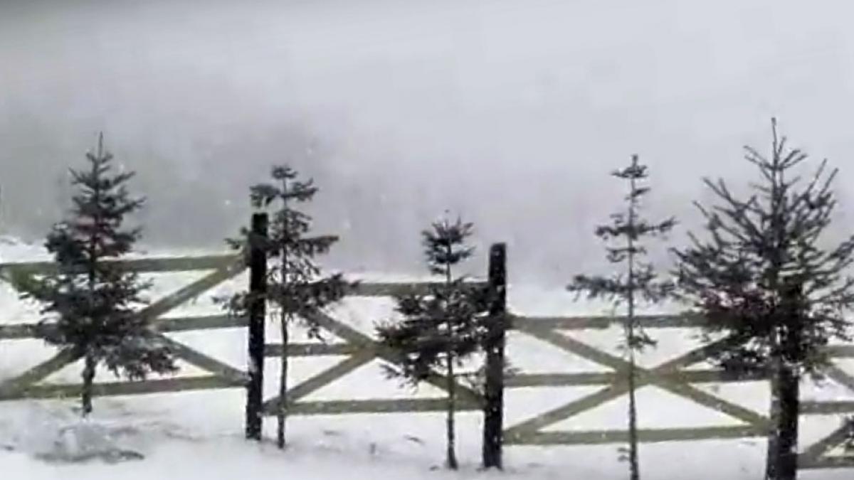 video in muntii bucegi a venit iarna iar zapada a ajuns la 5 centimetri