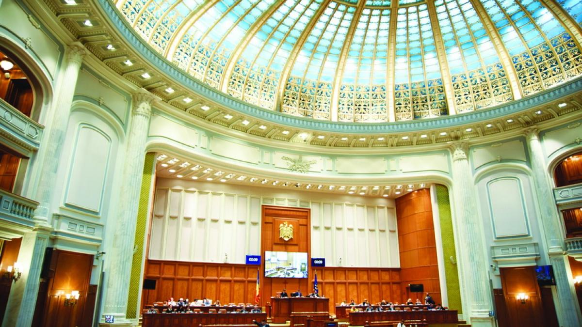 Ce poate rezolva o comisie parlamentară 