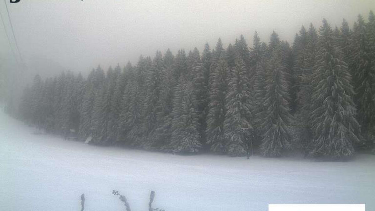 IMAGINI LIVE. Strat de zăpadă de 30 de cm la Predeal şi 20 la Poiana Braşov; în zonă continuă să ningă