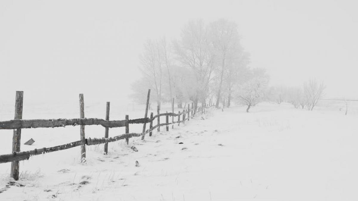 Suceava: 20 de localităţi fără energie electrică din cauza vântului puternic şi a zăpezii viscolite
