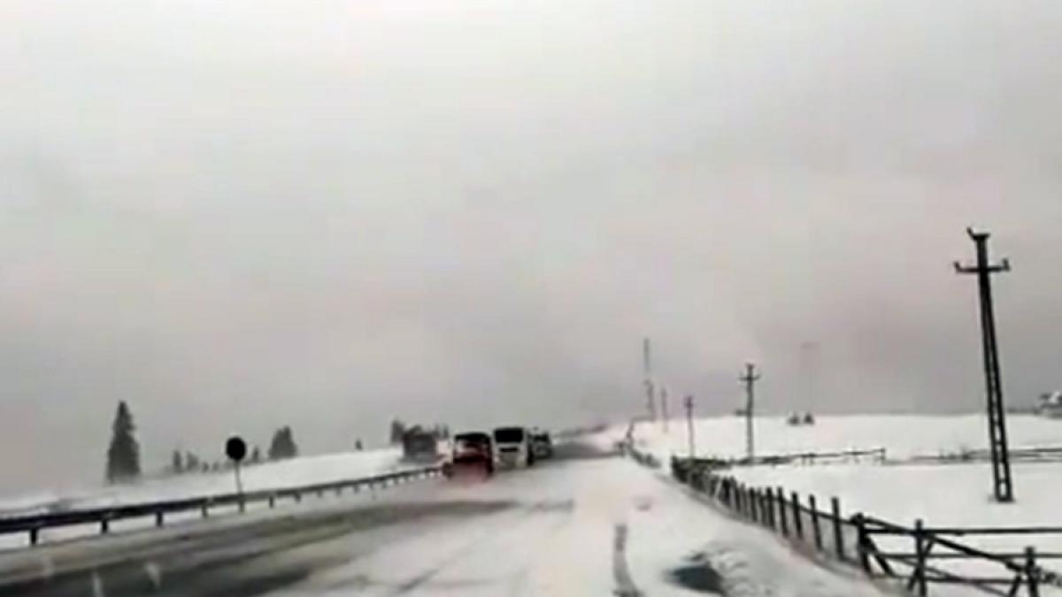 Trafic îngreunat din cauza ninsorii; arbore prăbuşit peste un autovehicul în Pasul Oituz