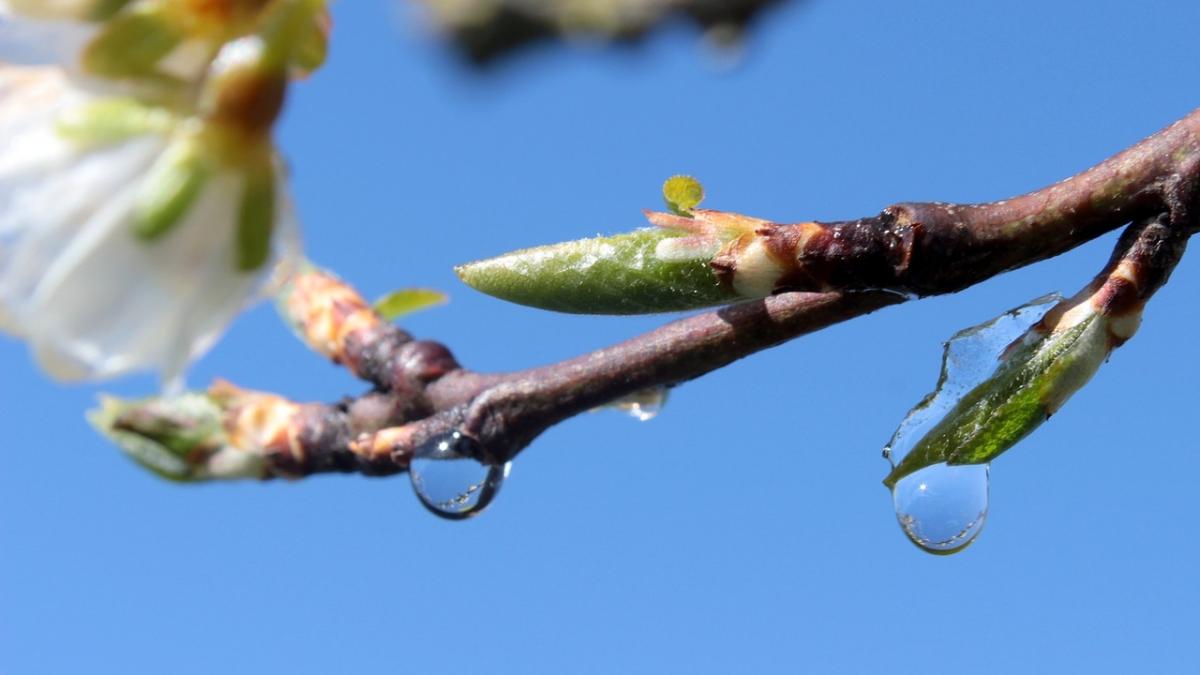Prognoza METEO pentru urmatoarele 2 saptamani. Cum va fi VREMEA de 1 Mai