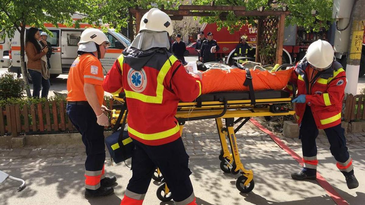Doi ciobani au ajuns la spital după ce au fost atacaţi de un urs