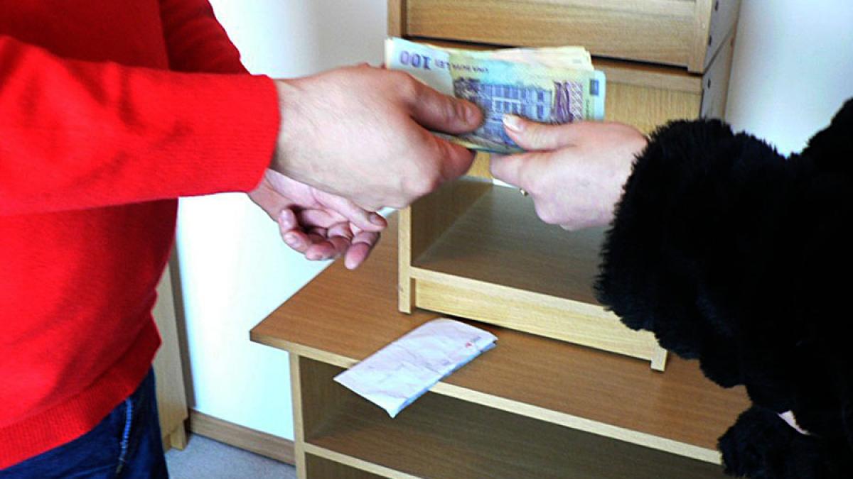 Escrocherii în lanț la Botoșani; o mamă și o pensionară, convinse să plătescă pentru servicii fictive