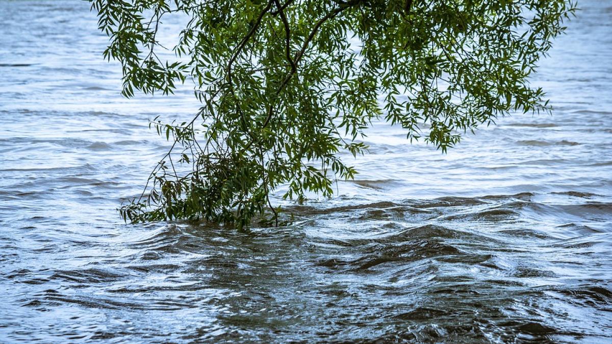 Cod galben de inundaţii în trei bazine hidrografice, până la miezul nopţii