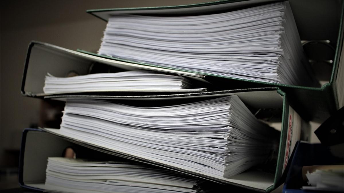 Irimie(MCPDS):Din cele peste 90.000 de ONG-uri din România s-au înscris în CONECT doar câteva sute