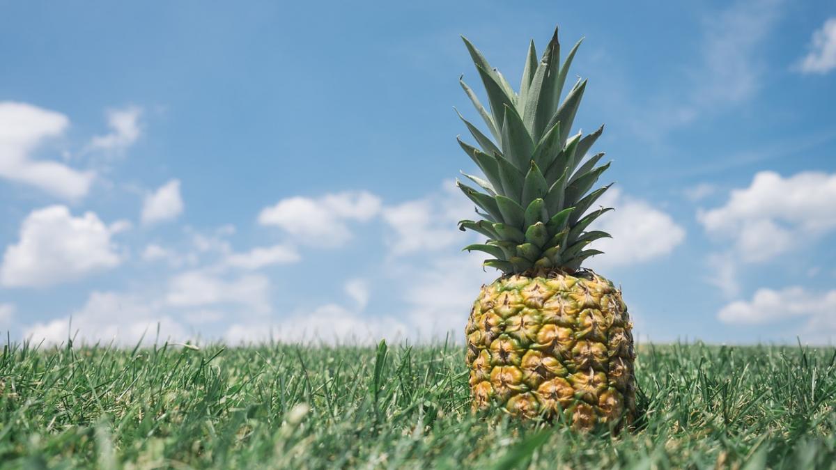  Binefacerile apei de ananas asupra sănătății
