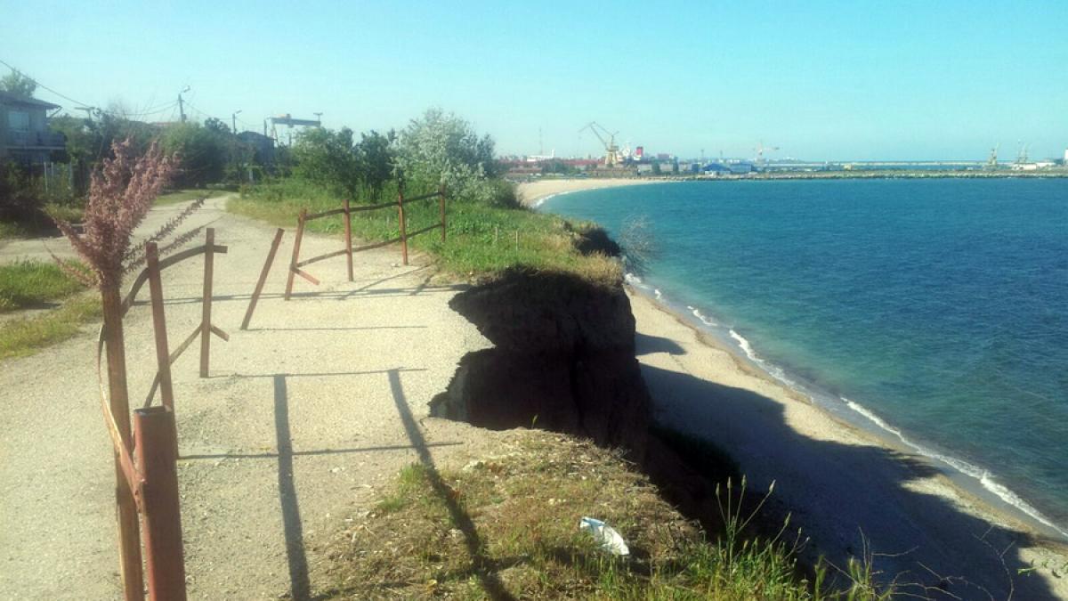  Căluţii de mare nu vor consolidarea malului, pe litoral