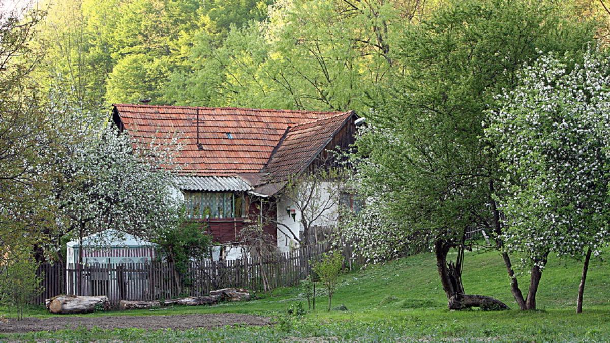 Impozitul pe gospodărie e pus pe hold