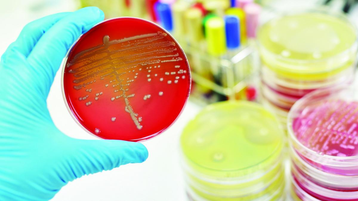 Tratament contra „bacteriilor ucigașe”