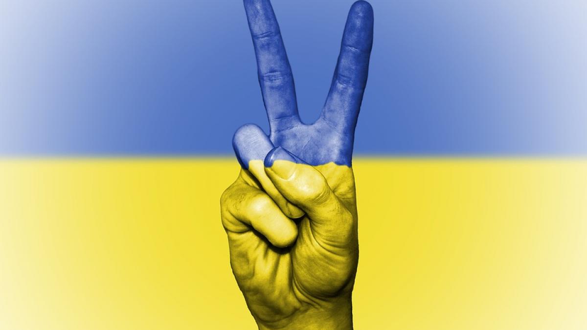 Senatul olandez a aprobat acordul de asociere UE-Ucraina