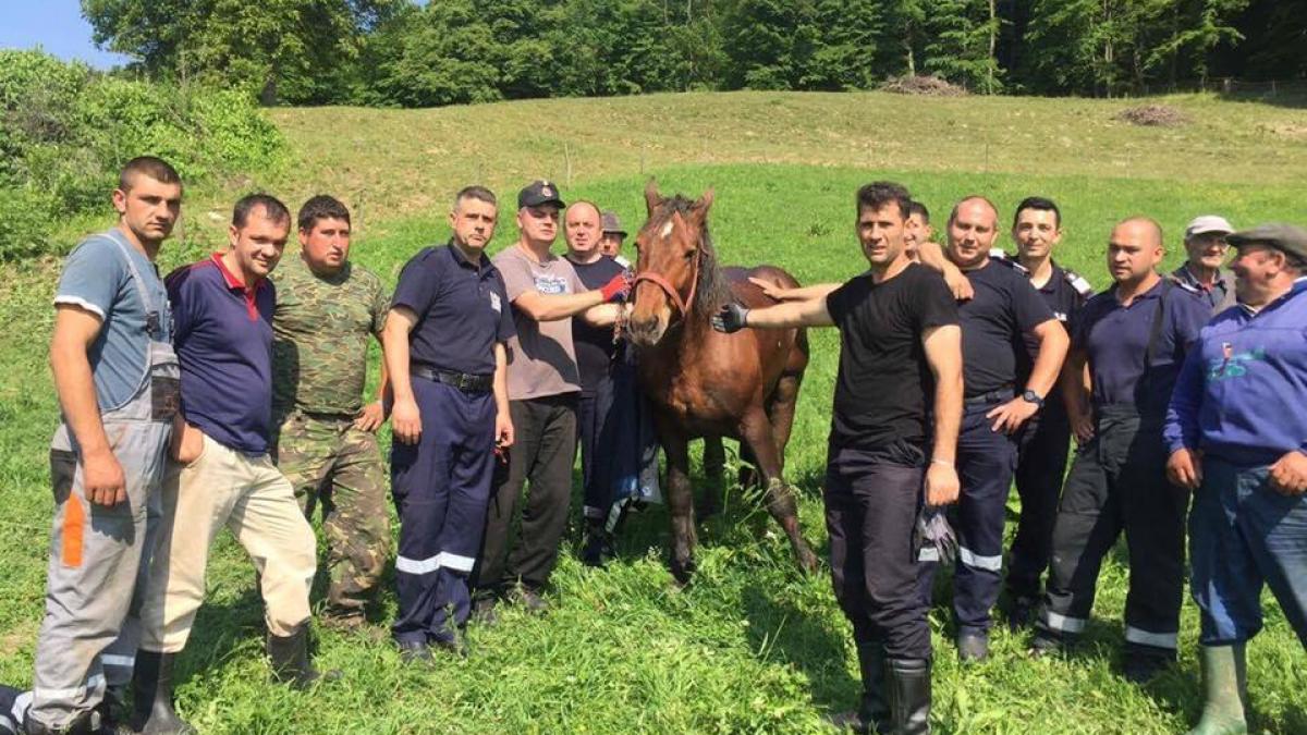 Covasna: Un cal căzut într-o fântână, salvat de pompieri