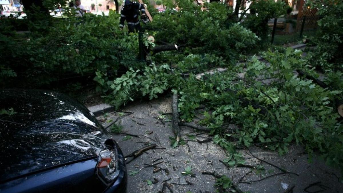 Furtuna a făcut ravagii în Giurgiu. Trafic rutier afectat; ploaia şi vijelia au rupt copaci pe DN 5, la Adunaţii Copăceni, şi inundat carosabilul pe DN 6, la Buda