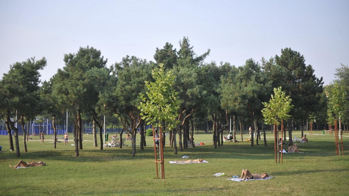 Prognoza meteo pentru intervalul 5-18 iunie. Temperaturi de vară