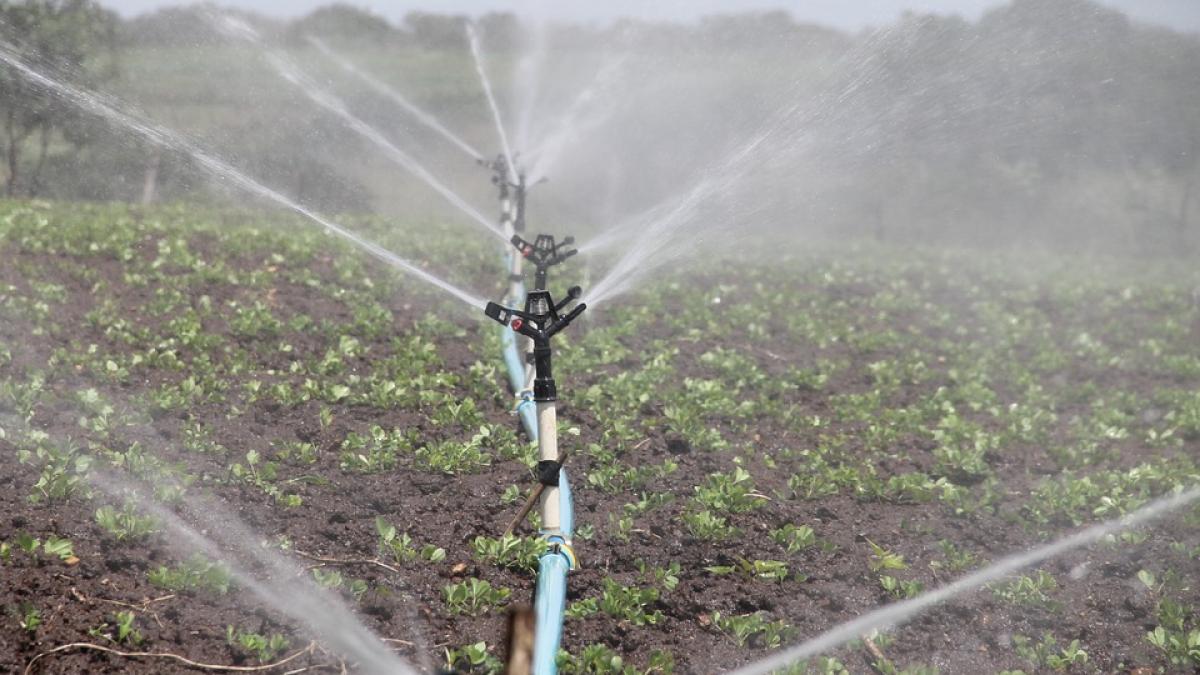 Ministrul Agriculturii îşi propune, până în 2020, realizarea sistemelor de irigaţii pentru două milioane de hectare
