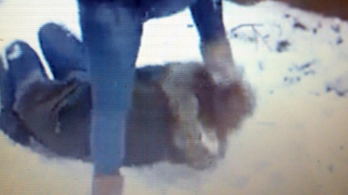 VIDEO - Prahova - O elevă a fost umilită în public după care agresoarea a călcat-o pe cap 