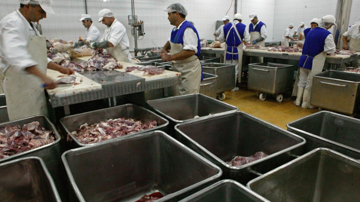 Antreprenorii, stimulaţi financiar să relanseze agricultura