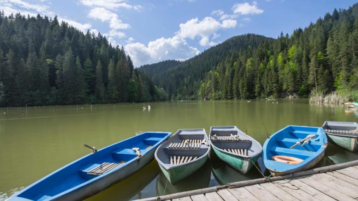 Întâmplare bizară lângă stațiunea Lacul Roșu. Un bărbat a sărit din microbuz, nemulţumit de traseu, şi s-a rătăcit în pădure