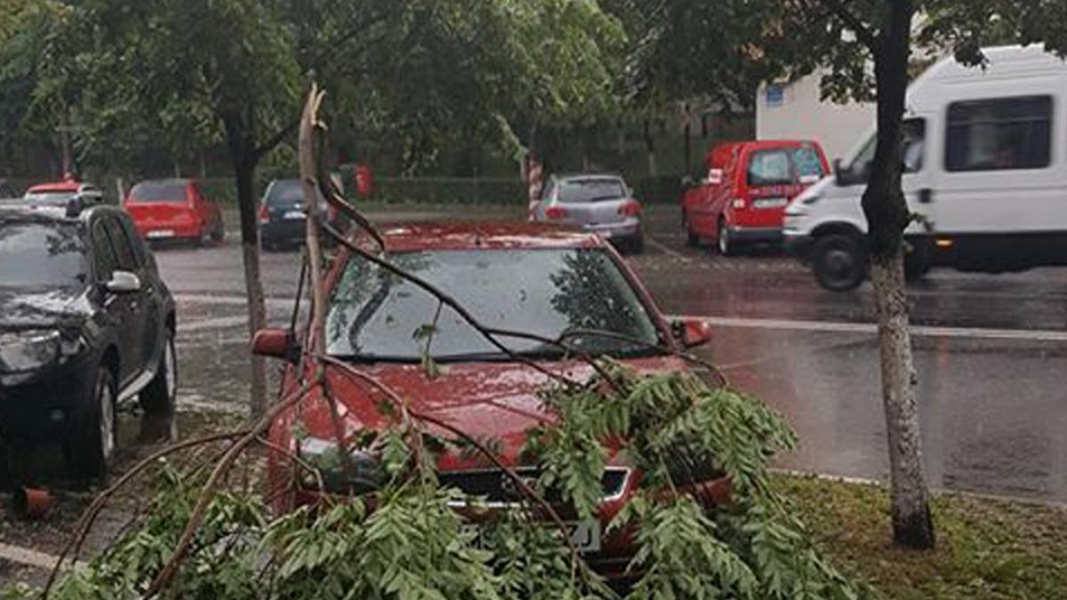 Maramureş: Copaci doborâţi şi maşini distruse în Baia Mare, în urma unei furtuni