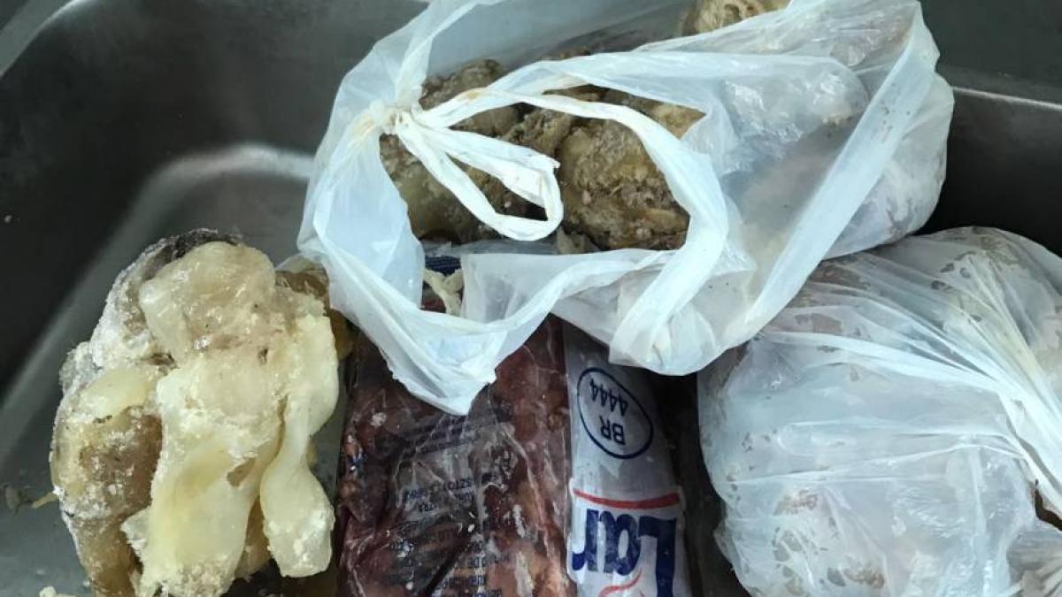 Mamaia - Amendă record pentru o un local din Satul de Vacanță. Inspectorii au găsit în mici, cuiburi de muște
